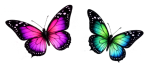 motyl 22