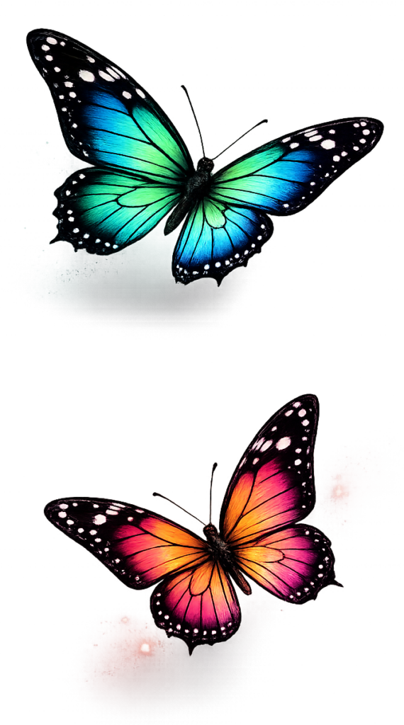 motyl 3